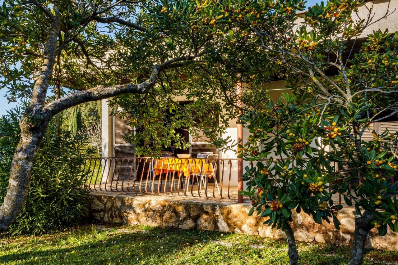 Helios Sunny Apartments By Valamar Stari Grad  Exterior photo